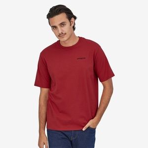 Men's Fitz Roy Horizons Responsibili-Tee